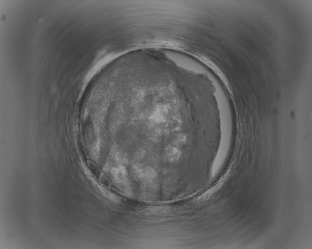 X0000081390989200702020251