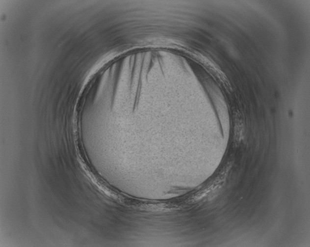 X0000081390990200702020251