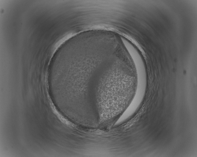 X0000081390991200702020251