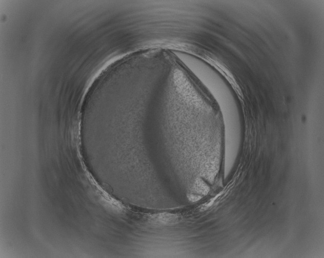 X0000081390992200702020251