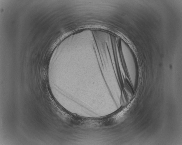 X0000081390993200702020251