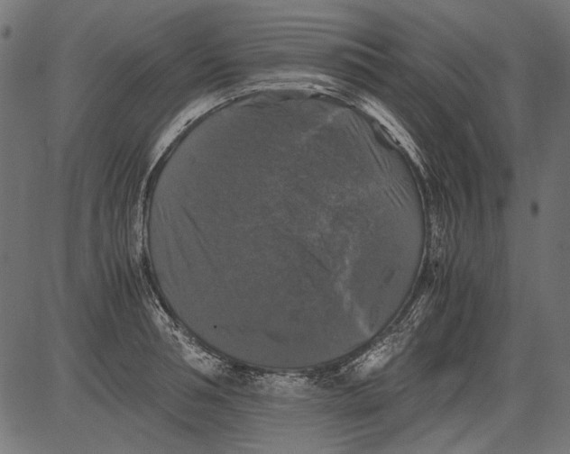 X0000081390994200702020251