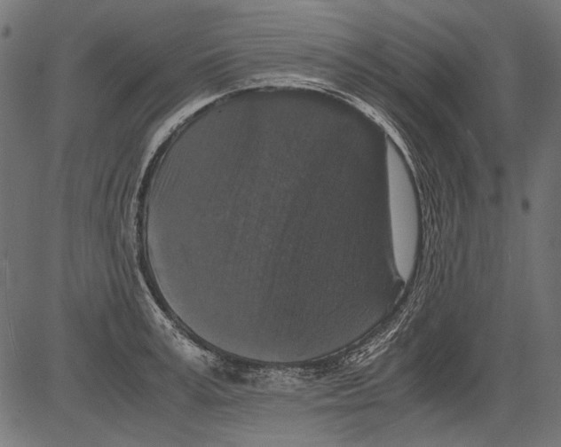 X0000081390995200702020251