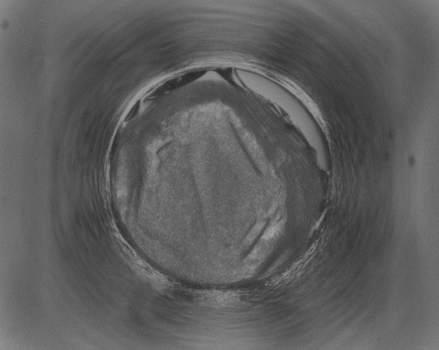 X0000081390996200702020251