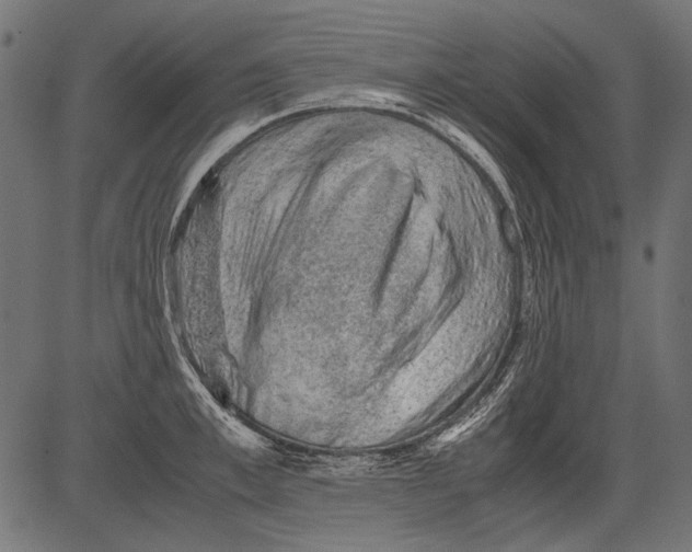 X0000081390997200702020251