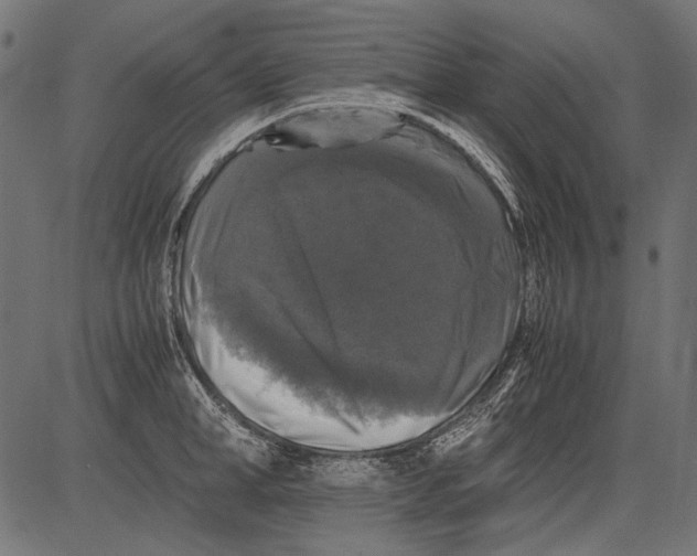 X0000081390998200702020251