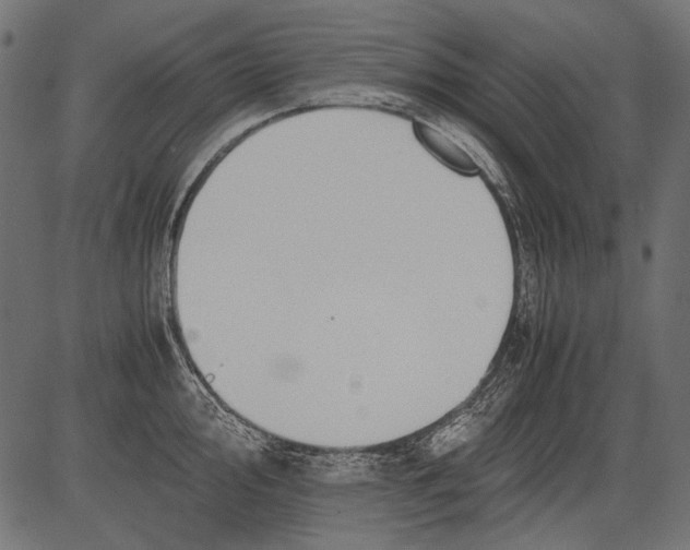 X0000081391000200702020251