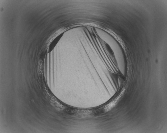 X0000081391001200702020251