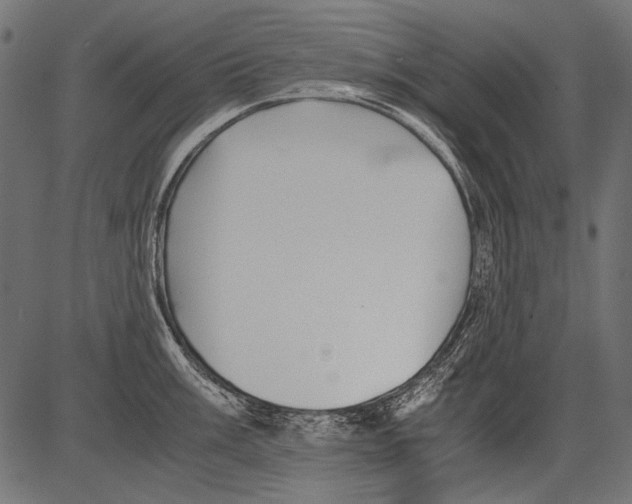 X0000081391003200702020250