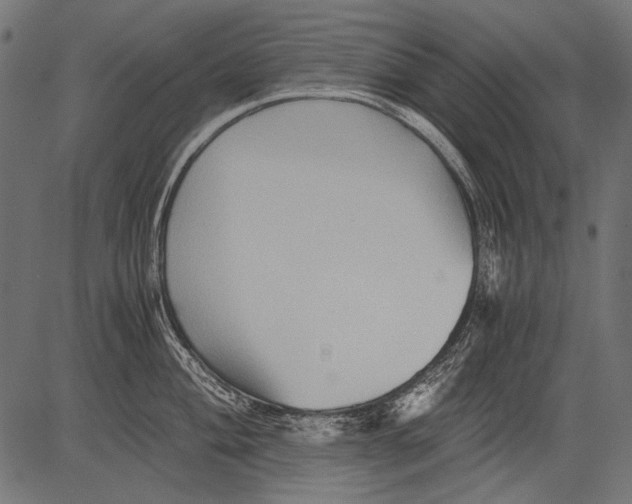 X0000081391004200702020250