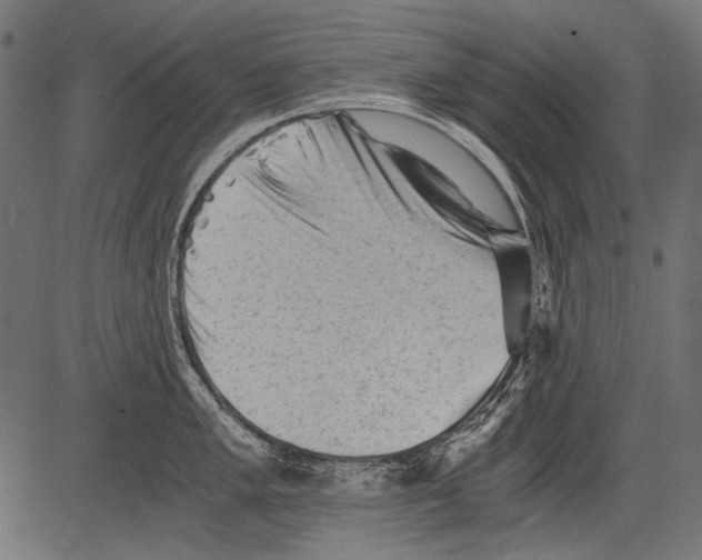 X0000081391005200702020250