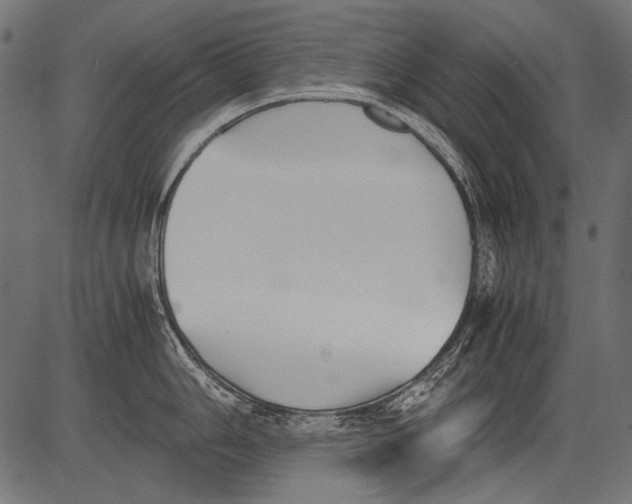 X0000081391006200702020250