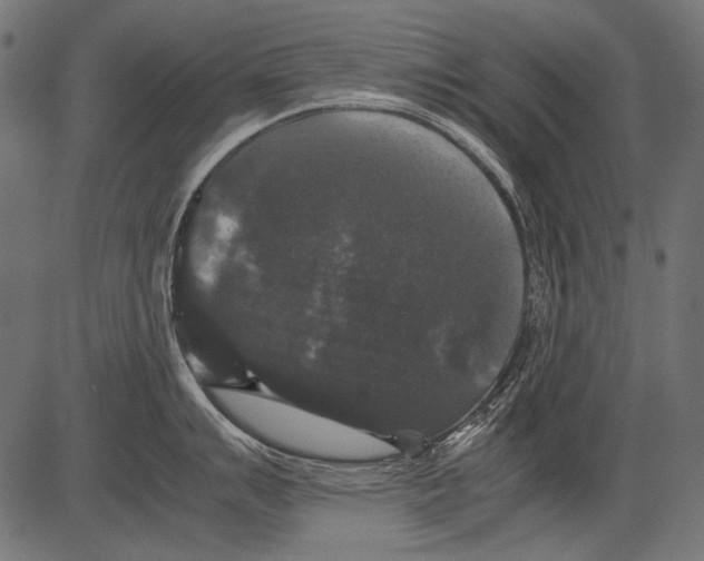 X0000081391007200702020250