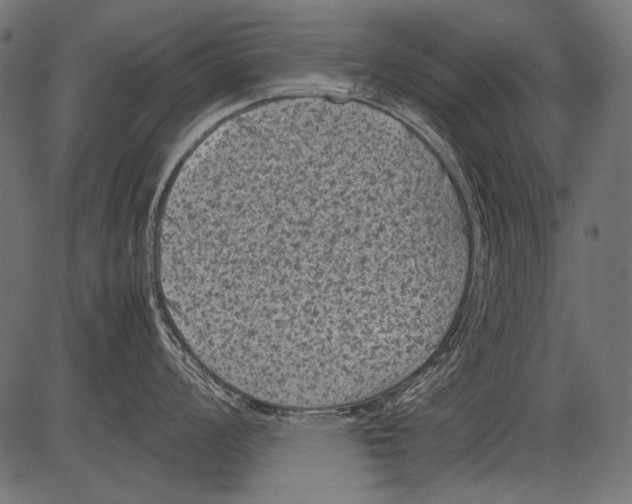 X0000081391008200702020250