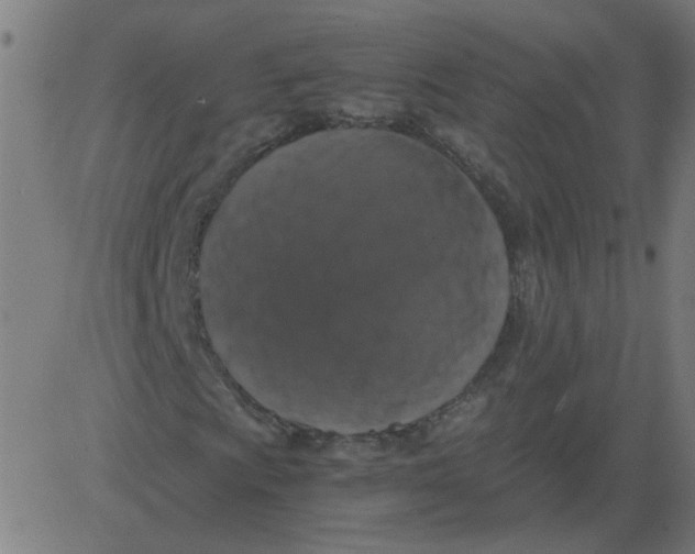 X0000081391009200702020250