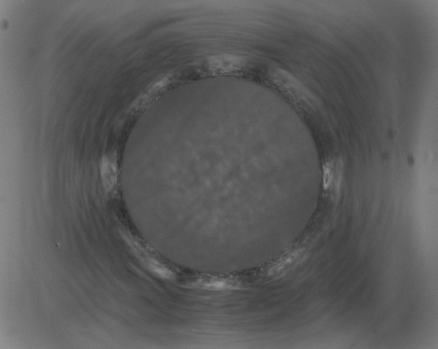 X0000081391011200702020250