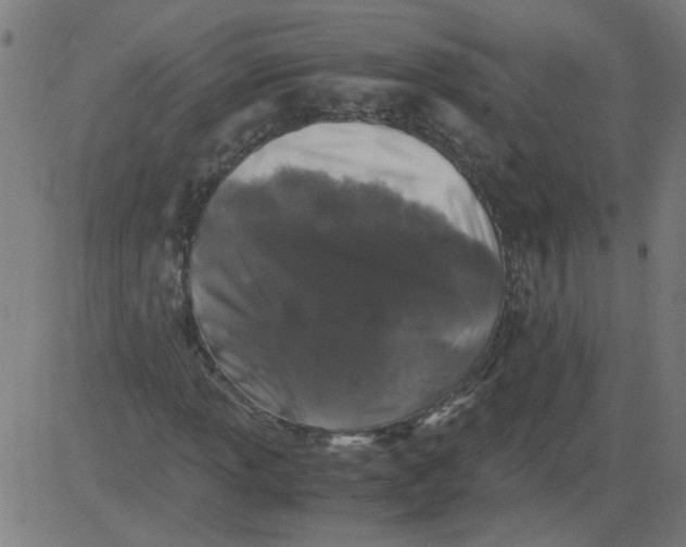 X0000081391013200702020250