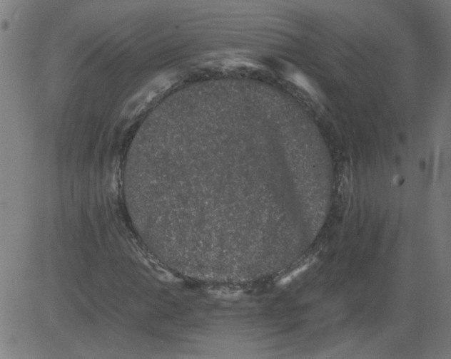 X0000081391014200702020250