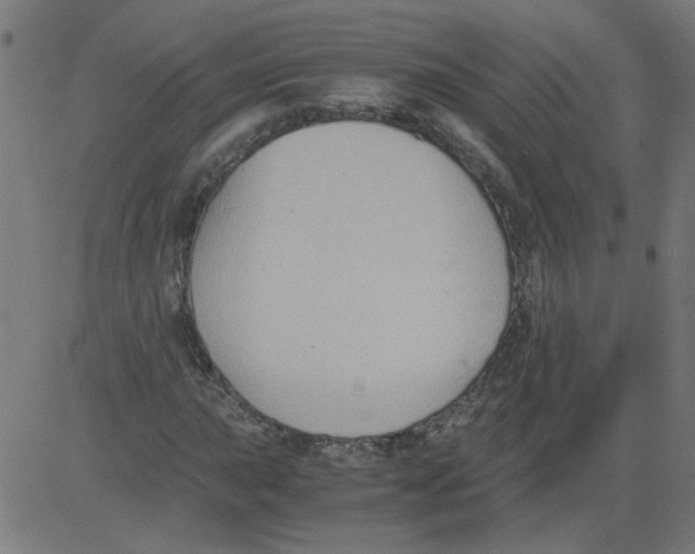 X0000081391015200702020250