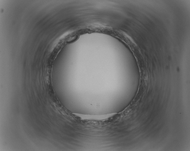 X0000081391016200702020250