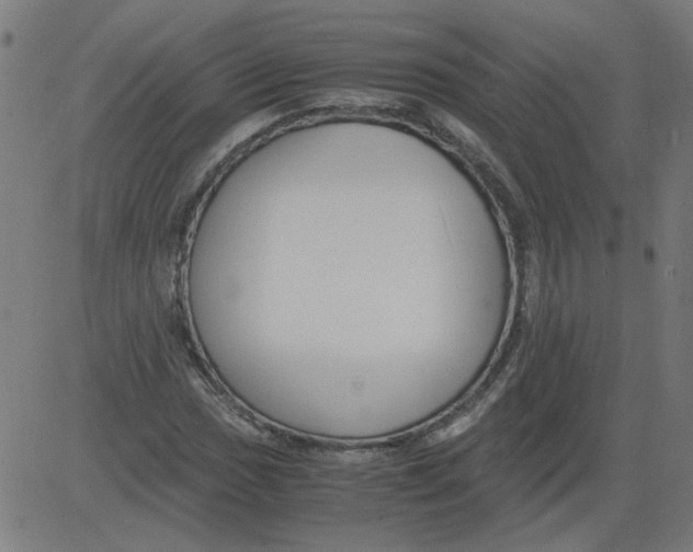 X0000081391017200702020250