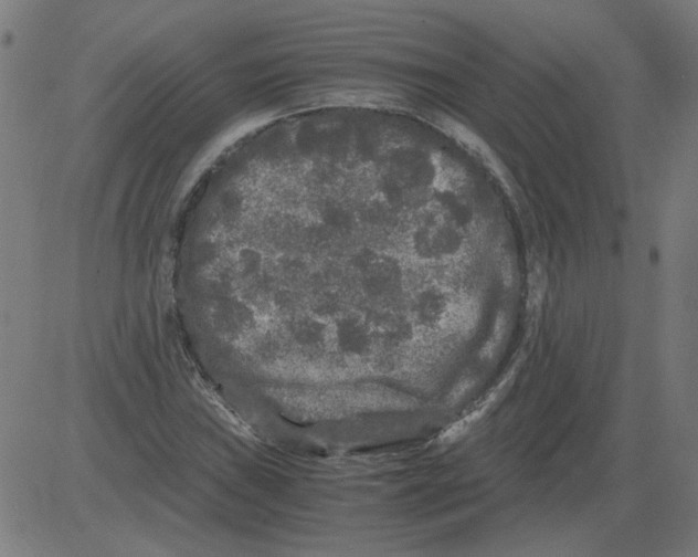 X0000081391019200702020250