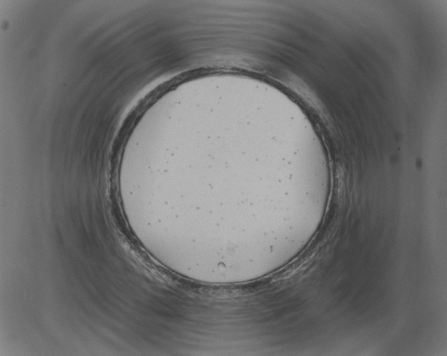 X0000081391020200702020250