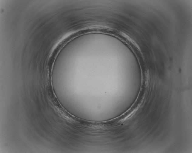 X0000081391021200702020250