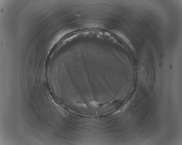 X0000081391023200702020250