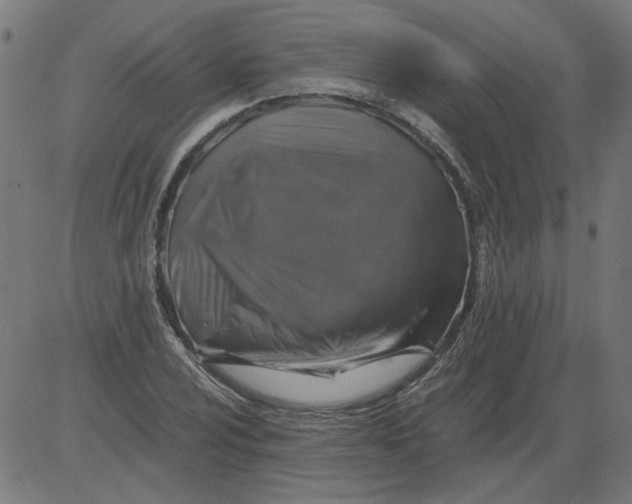 X0000081391024200702020250