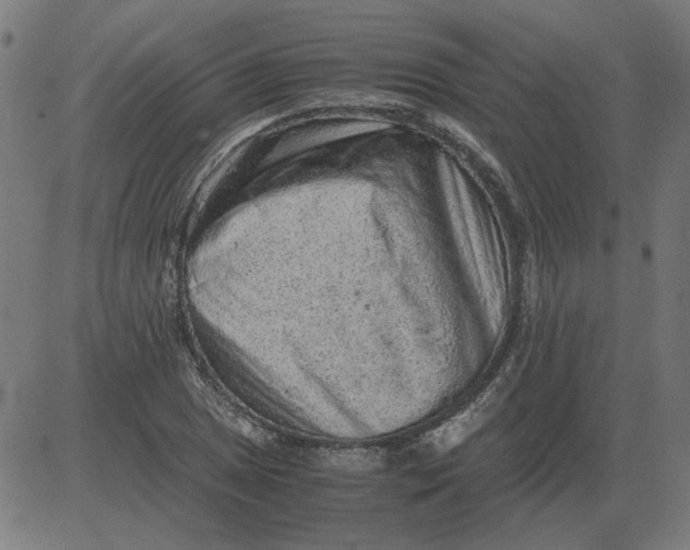 X0000081391025200702020250