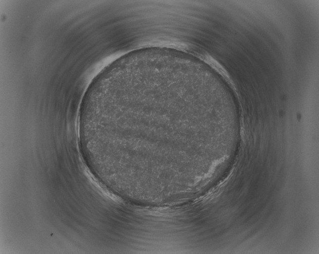 X0000081391028200702020250