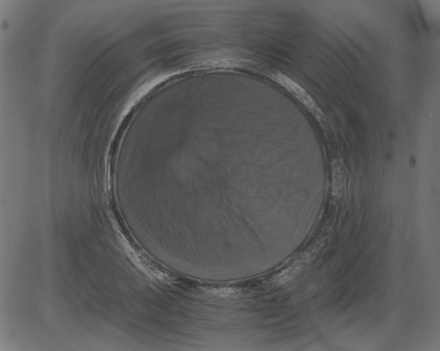 X0000081391031200702020250