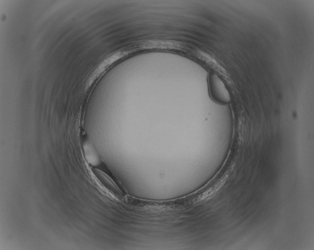 X0000081391033200702020250