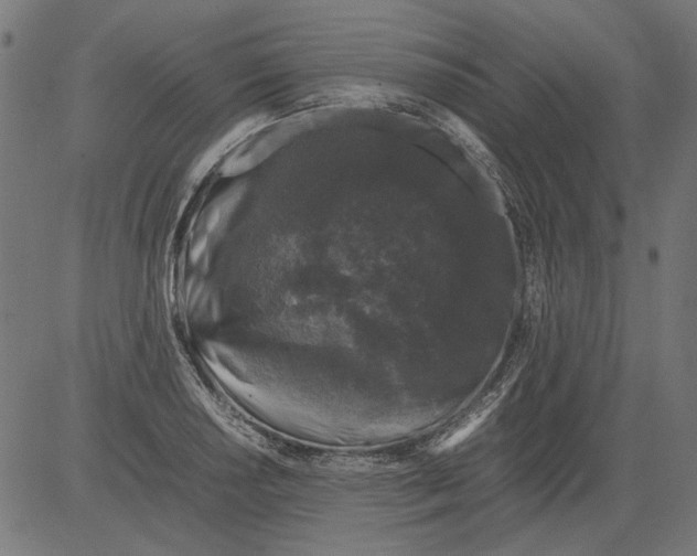 X0000081391034200702020250