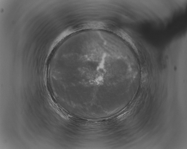 X0000081391035200702020250