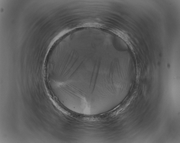 X0000081391037200702020250