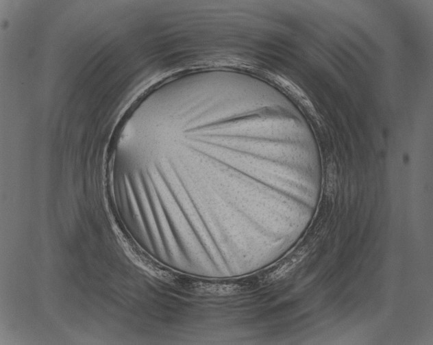 X0000081391039200702020250