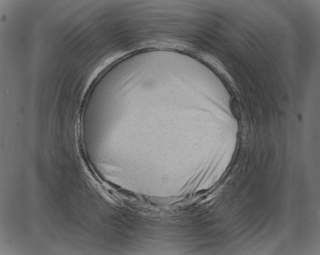 X0000081391040200702020250