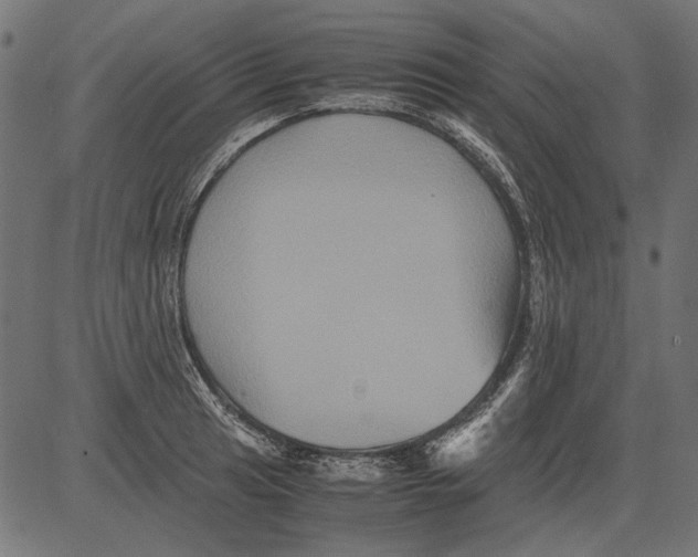 X0000081391041200702020250