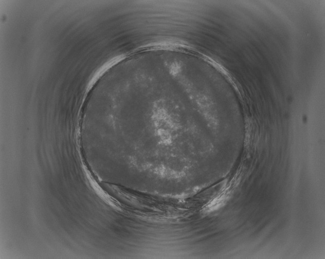 X0000081391042200702020250