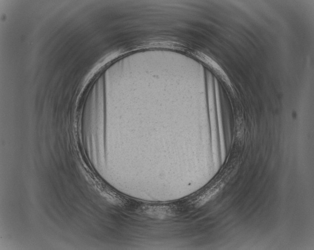 X0000081391043200702020250