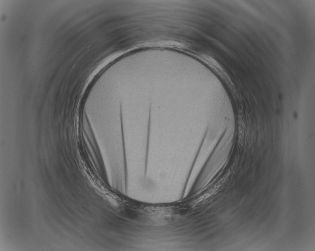 X0000081391044200702020250