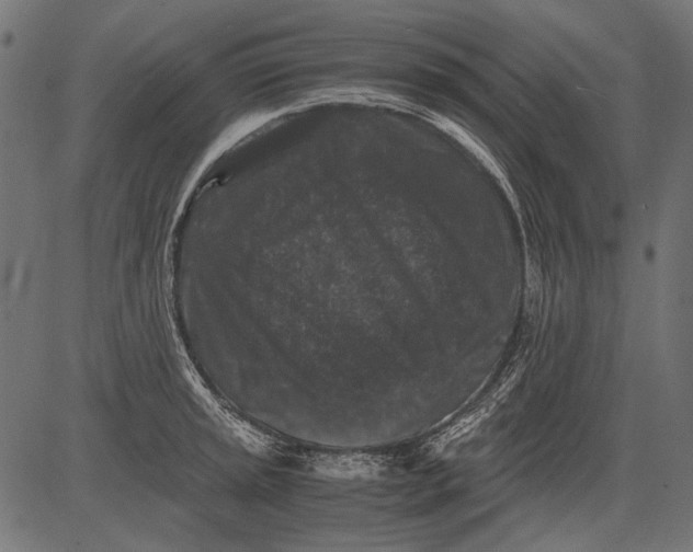 X0000081391045200702020250