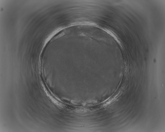 X0000081391046200702020250