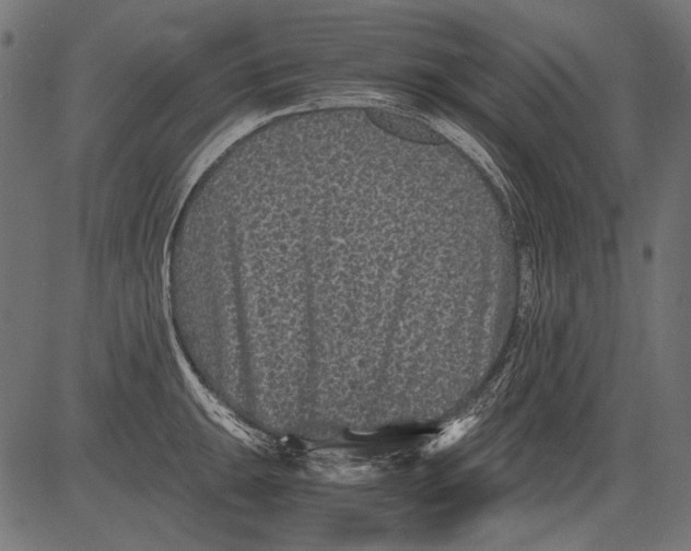 X0000081391047200702020250