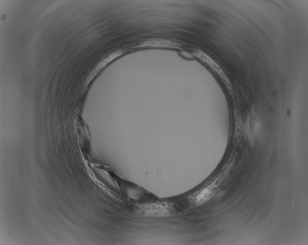 X0000081391049200702020250