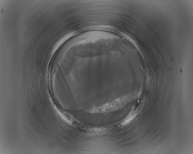 X0000081391050200702020250