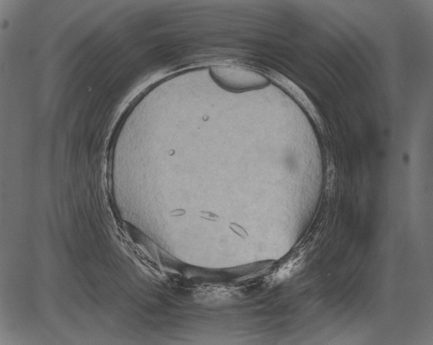 X0000081391051200702020250