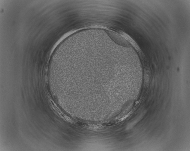 X0000081391052200702020250